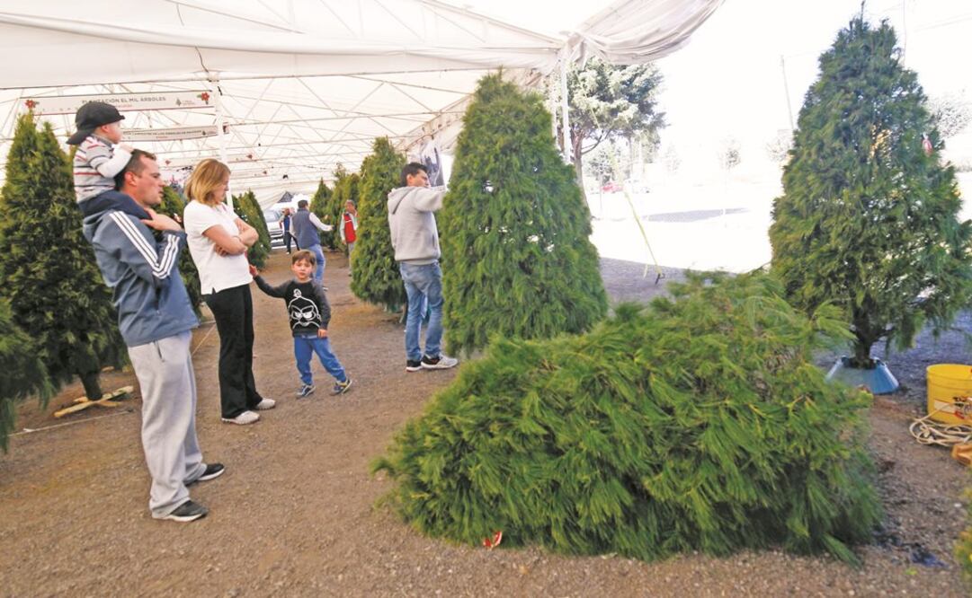 Foto: Archivo / EL UNIVERSAL