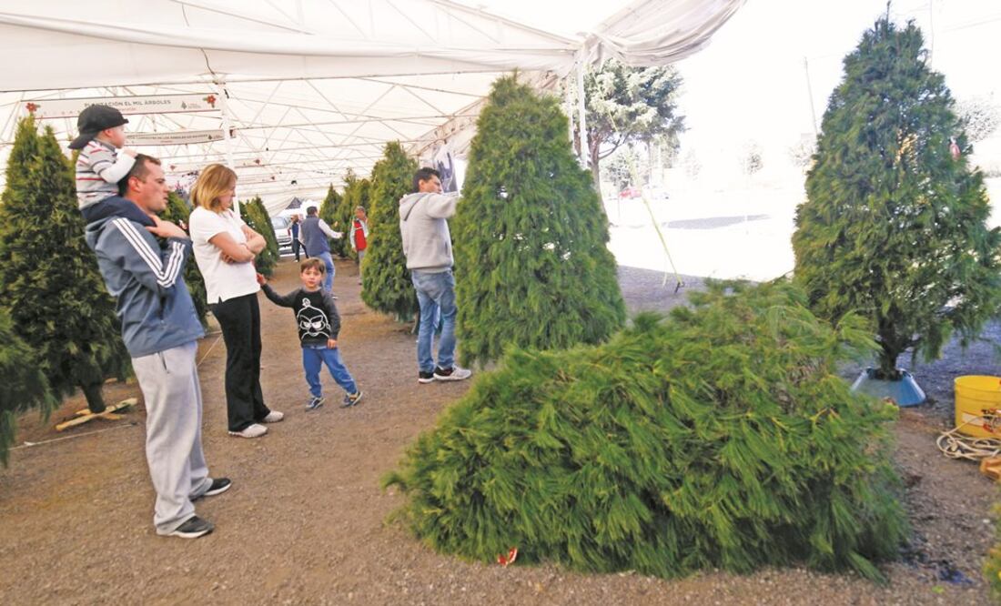 Foto: Archivo / EL UNIVERSAL