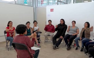 Partido Verde impulsa lenguaje de señas en TV educativa; busca eliminar barreras para personas con discapacidad auditiva