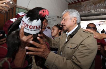 Pide AMLO a observadores internacionales acudir ya a México