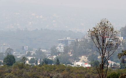 Xochimilco registra 126 puntos de ozono; calidad del aire es mala