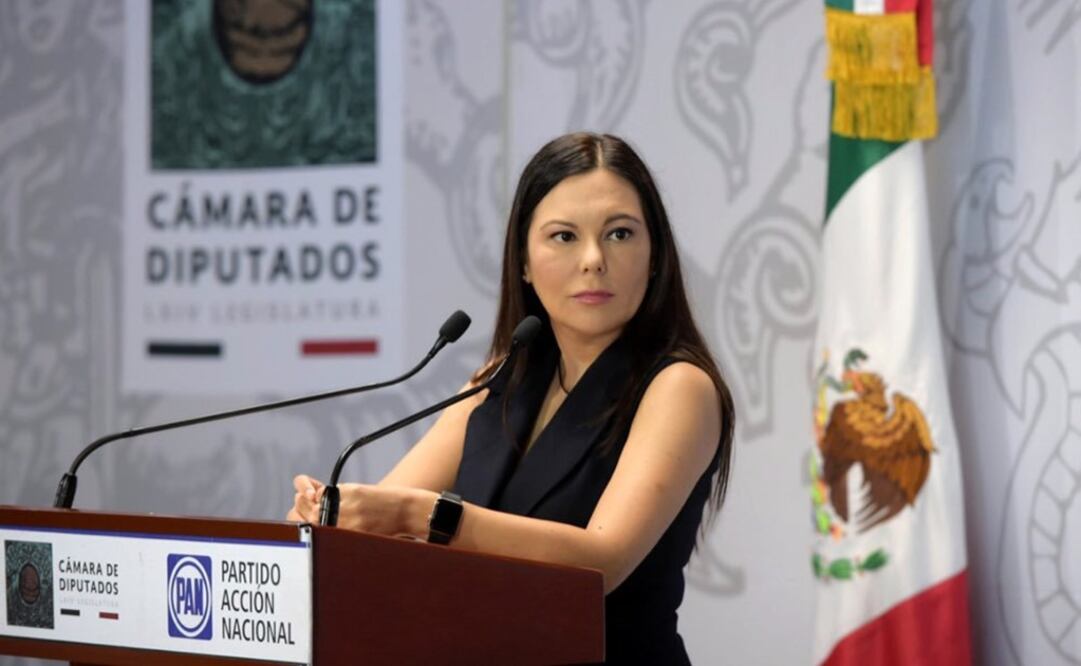 Diputada panista Laura Rojas / Tomada de Twitter @Laura_Rojas_