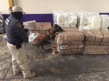 Decomisan en operativo 408 kilos de mariguana en Yucatán