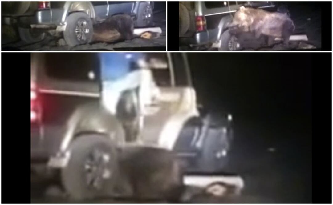 Tomadas del video