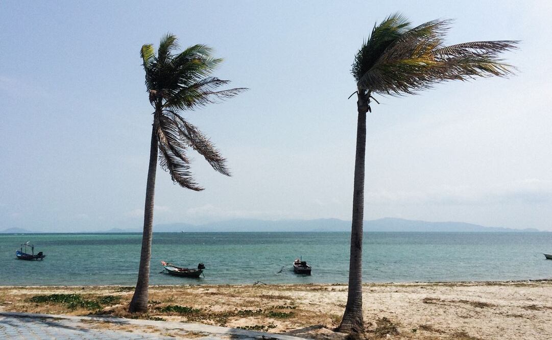 Tormenta tropical "Orlene" afectará a estos estados hoy, sábado 1 de octubre 2022