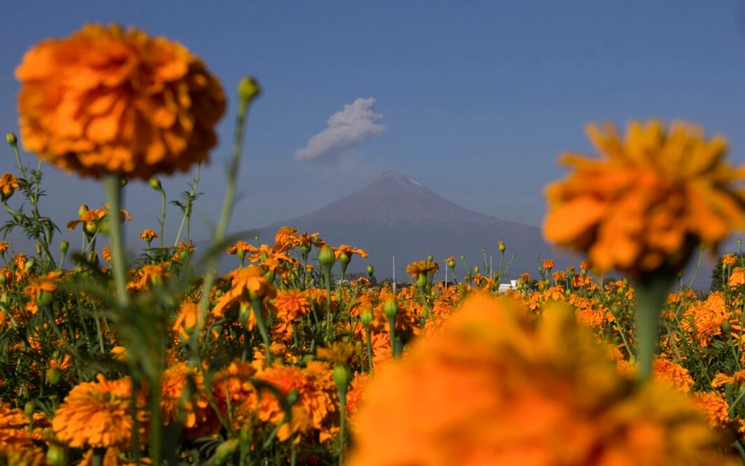 Foto: Archivo EL UNIVERSAL 