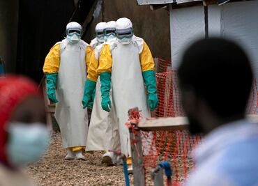 Misteriosa enfermedad ha causado más de 50 muertos en el Congo; brote se desató después de que niños comieran murciélago