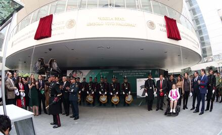 Reconocen al águila real con letras doradas en el Senado
