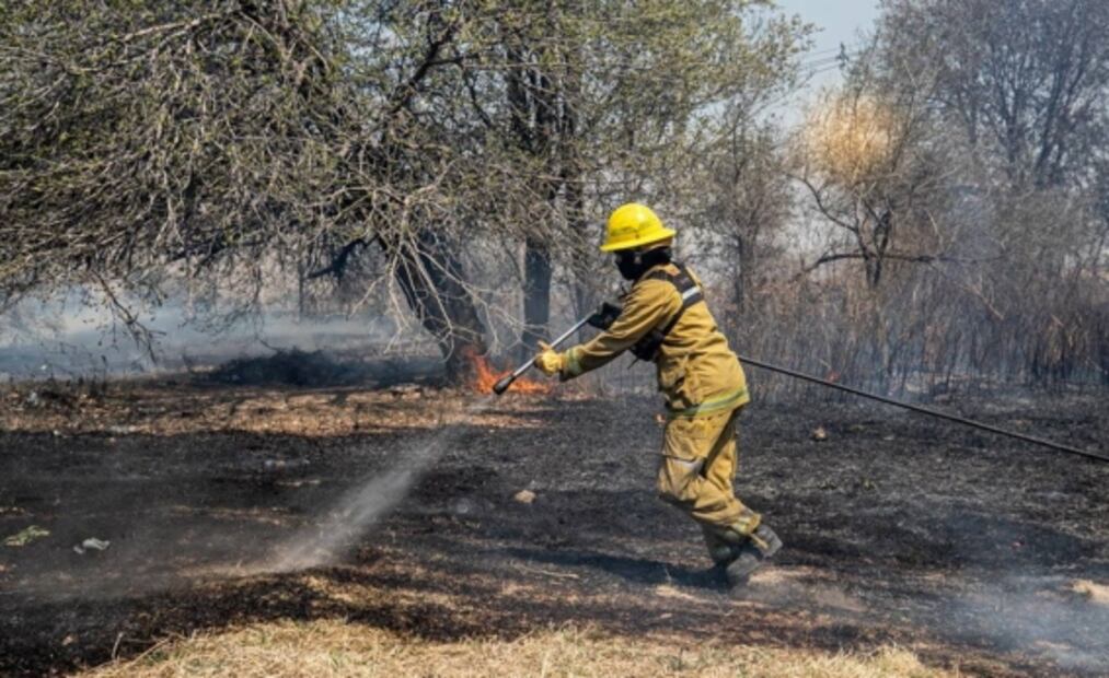 Tras más de 2 semanas, incendios forestales no ceden en Argentina
