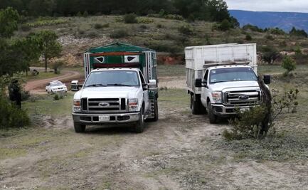 Aseguran a 64 migrantes en Nochixtlán, entre ellos dos menores de edad