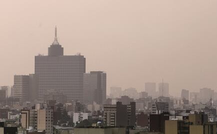 Habitantes de zonas con alto índice de contaminación podrían sufrir una disminución de intelecto 