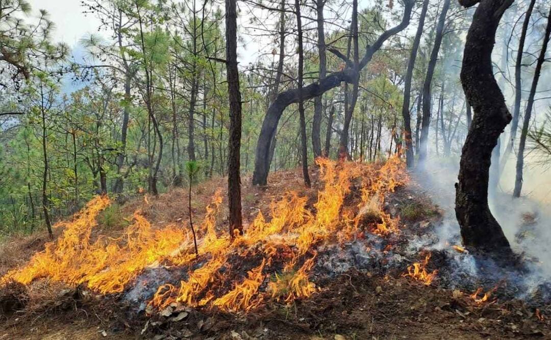 Incendio forestal en el Cerro Mazatepec. Foto: Especial