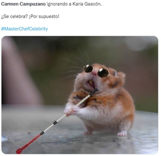 MasterChef Celebrity: Los mejores memes no perdonan la salida de Carmen Campuzano 