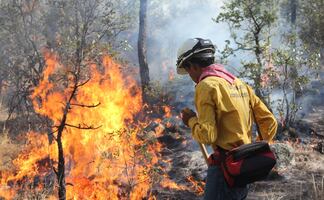 Atienden seis incendios forestales en Chihuahua; suman 62 siniestros en lo que va de 2026 
