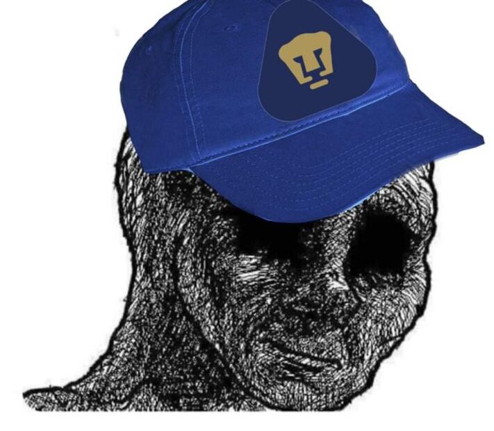 FOTO: ESPECIAL - MEMES PUMAS