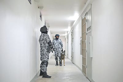 Lo cuidan con perros “huele-chapo”