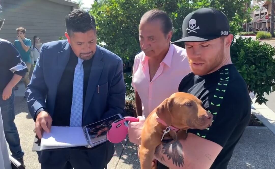 Saúl-Canelo-Alvarez/ Especial