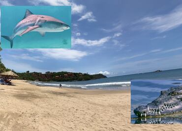 ¿Tiburón o cocodrilo? Ataque animal provoca la muerte de un turista canadiense en playas de Ixtapa, Zihuatanejo