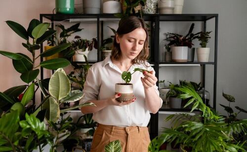 Cuidar de tus plantas es una experiencia gratificante que transforma tu hogar en un refugio verde. Fuente: Freepik.