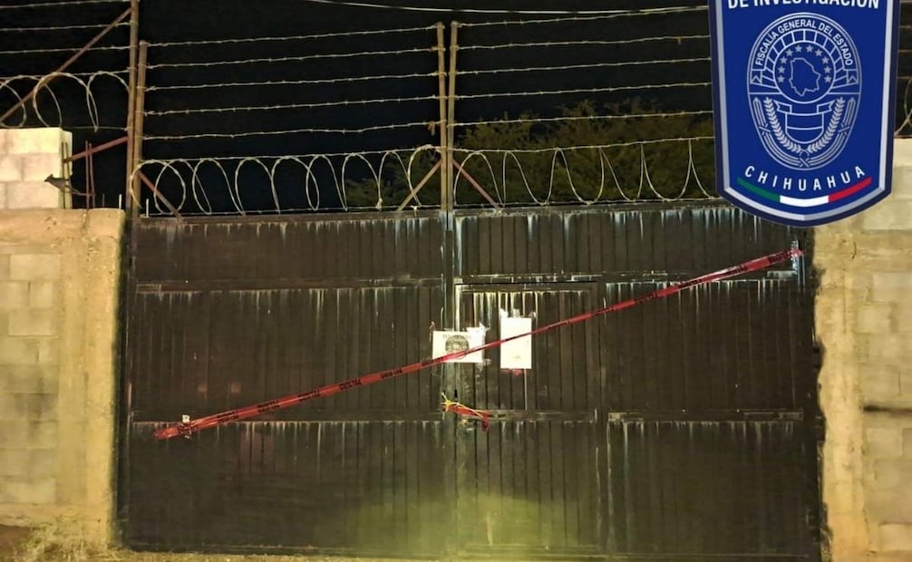 Los seis perros de raza mestiza, fueron puestos bajo resguardo de la Asociación Civil “Escuadrón Canino Matamoros”. 15/09/2026. | Foto: Cortesía de la Agencia Estatal de Investigación Chihuahua.