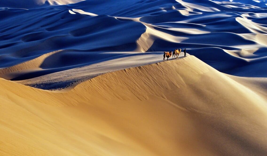 El Sahara es es el desierto más caliente de la tierra. (Foto: Istock)