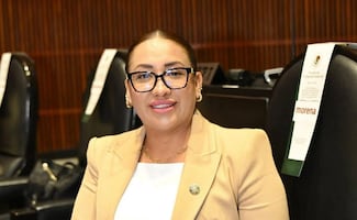 Fallece Anay Beltrán Reyes, diputada federal de Morena; legisladores expresan sus condolencias