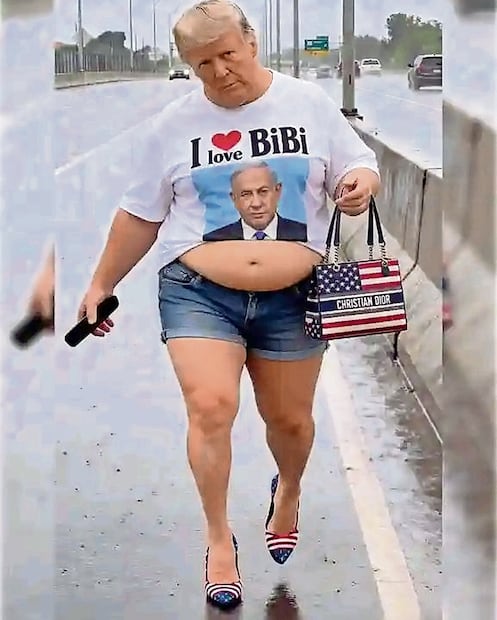 Un meme, hecho con IA, muestra a Trump como fan de Netanyahu.