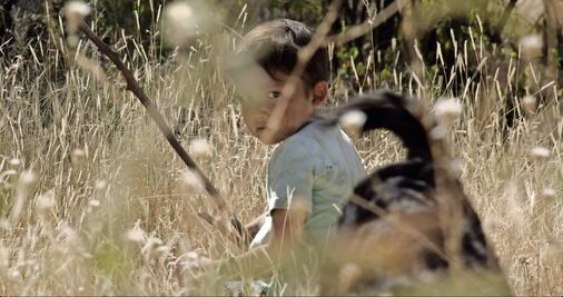 Un relato del narco en México llega a Sundance