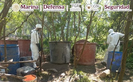 Neutralizan en Durango narcolaboratorios relacionados con "Los Mayos"; aseguran 21 toneladas de metanfetaminas