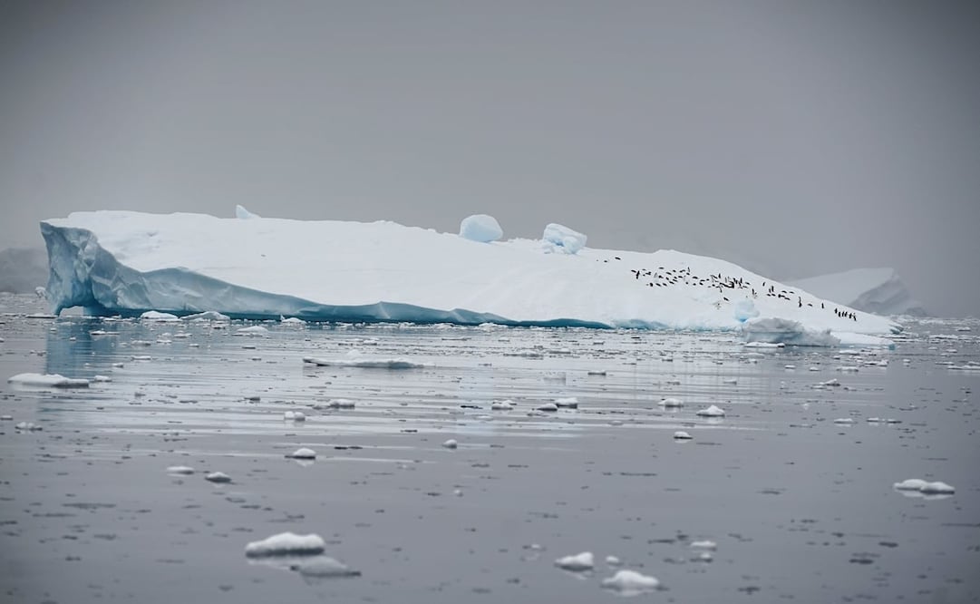 Imagen genérica de un iceberg en la Antártida. Foto: Archivo Reuters