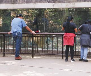 Zoológico de Chapultepec, sin muchos visitantes