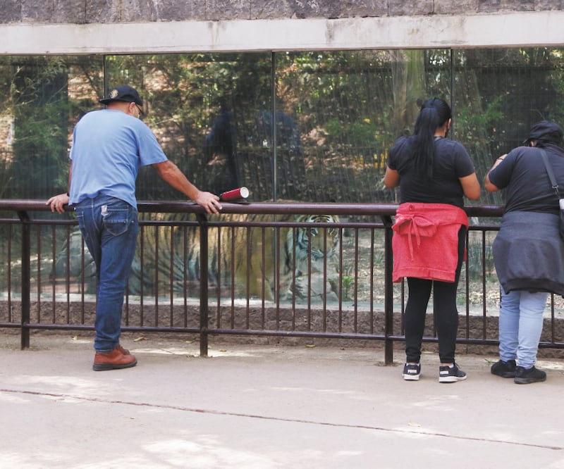 Por seguridad, los visitantes del Zoológico de Chapultepec sólo pueden permanecer 90 minutos en el lugar. Foto: CARLOS MEJÍA. EL UNIVERSAL