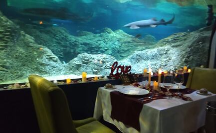 Tip de la editora: dos lugares románticos en Puebla para comer entre peces y animales salvajes