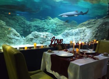 Tip de la editora: dos lugares románticos en Puebla para comer entre peces y animales salvajes