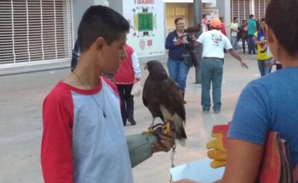 Águila “Beba" aprovecha Liguilla en el Estadio Victoria 