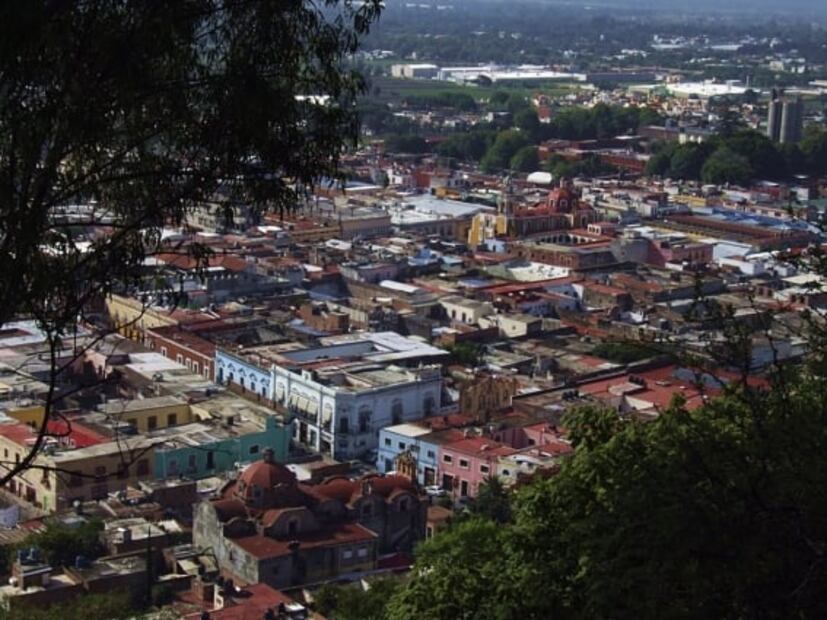 Día de Muertos: tour por los campos de flor de cempasúchil en Puebla