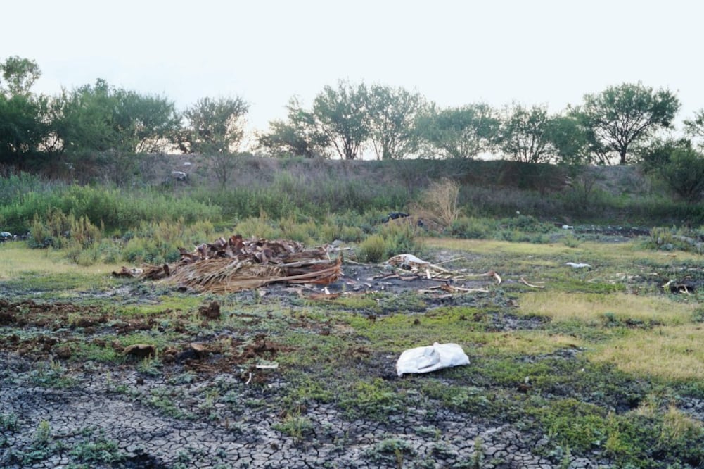 A cinco años de su nacimiento, ni un ejemplar quedó en pie en el Bosque de las Naciones de los 7 mil 800 árboles plantados por jóvenes que asistieron a la Conferencia Mundial de la Juventud el 26 agosto de 2010 (XÓCHITL ÁLVAREZ. EL UNIVERSAL)