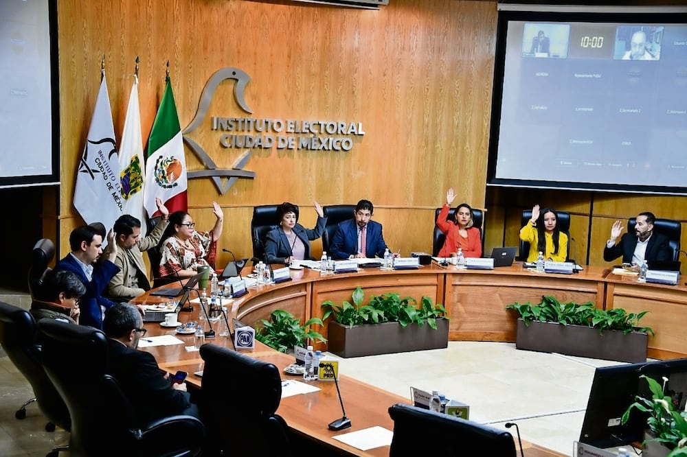 El instituto determinó quitar la propaganda en donde aparezca el nombre o apellido de las personas que estén participando en un proceso político. Foto: Especial