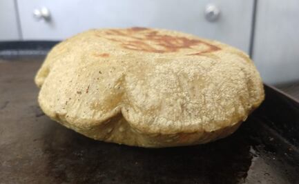 Comer una tortilla de calidad, nixtamalizada y sin colorantes pronto será ley 