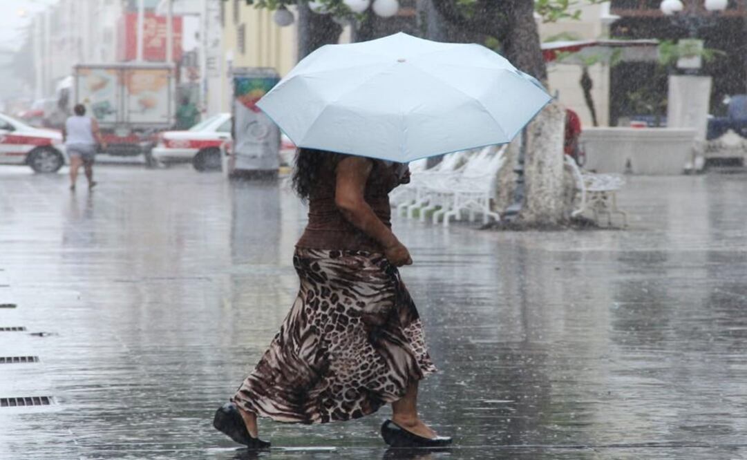 Foto: Archivo/ EL UNIVERSAL