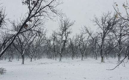 Caos por mega apagón y nevadas en Coahuila