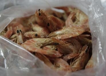 CNA prevé que antes de septiembre se recupere certificación del camarón