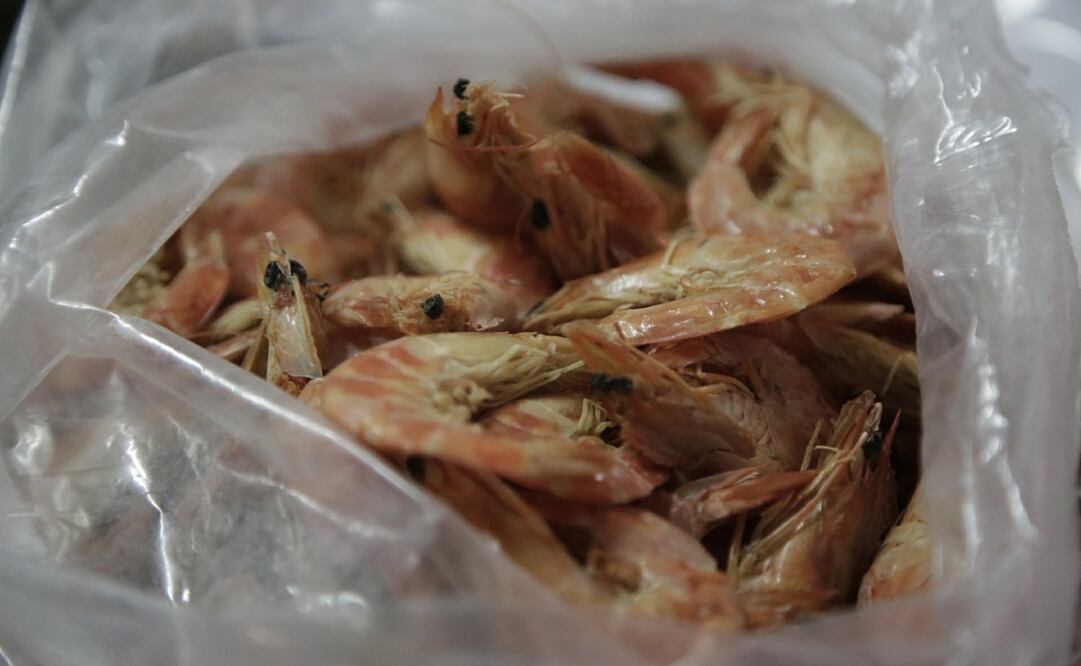 Foto: Archivo/ EL UNIVERSAL