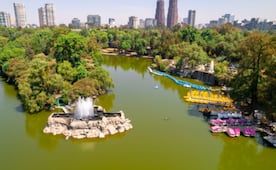 5 actividades que puedes hacer gratis en Chapultepec