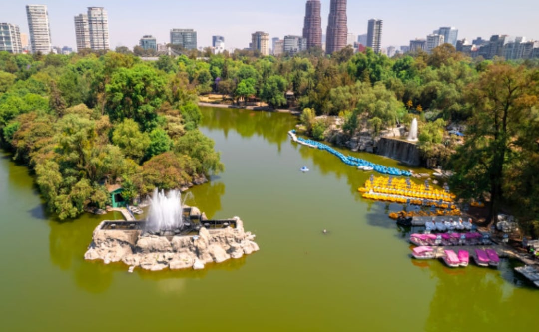 Conoce las actividades gratis que tiene el Bosque de Chapultepec para disfrutar en tu fin de semana. Foto: Sedema