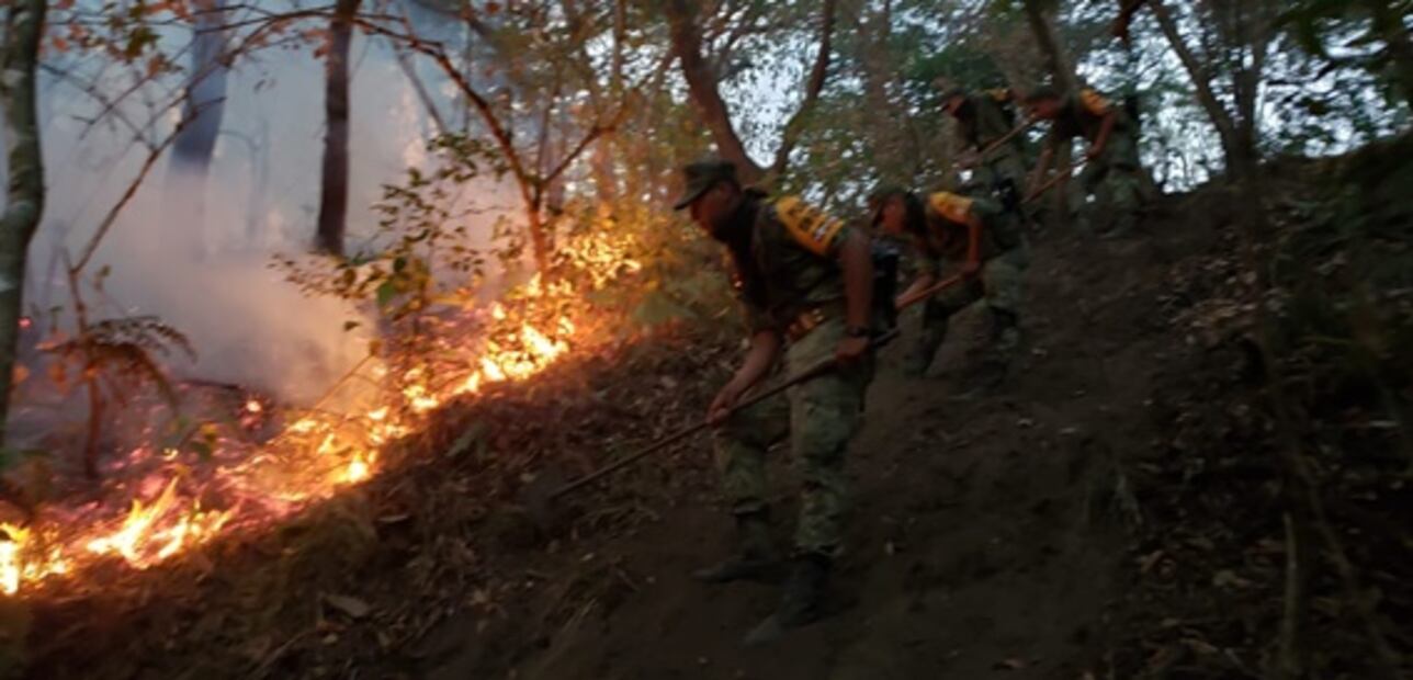 Ejército aplica Plan DN-III-E en Tepic por incendio forestal