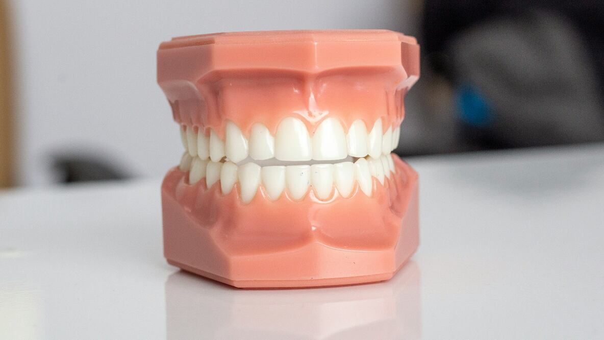 Dientes. Fuente: Unsplash