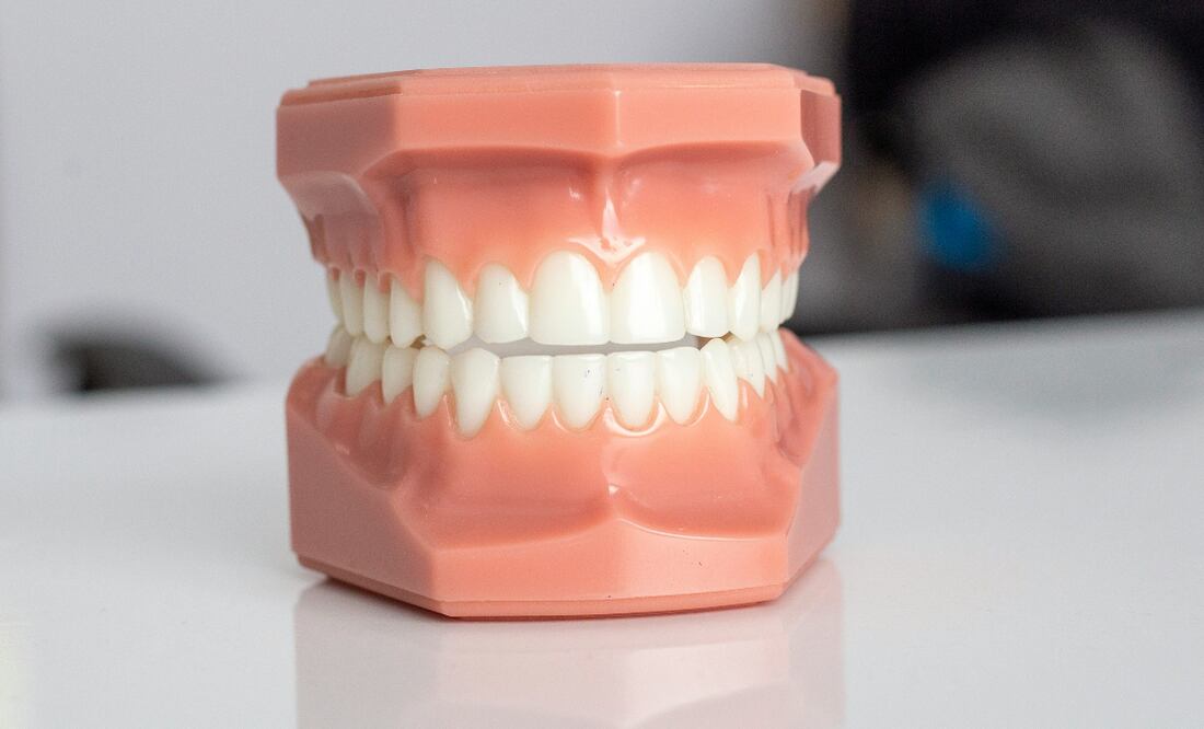 Dientes | Fuente: Unsplash (Enis Yavuz)