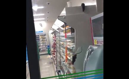 Captan en video a ratas que caminan sobre la comida en tienda de Tokio