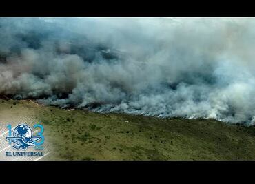 En riesgo, fauna de reserva Sian Ka’an por incendio